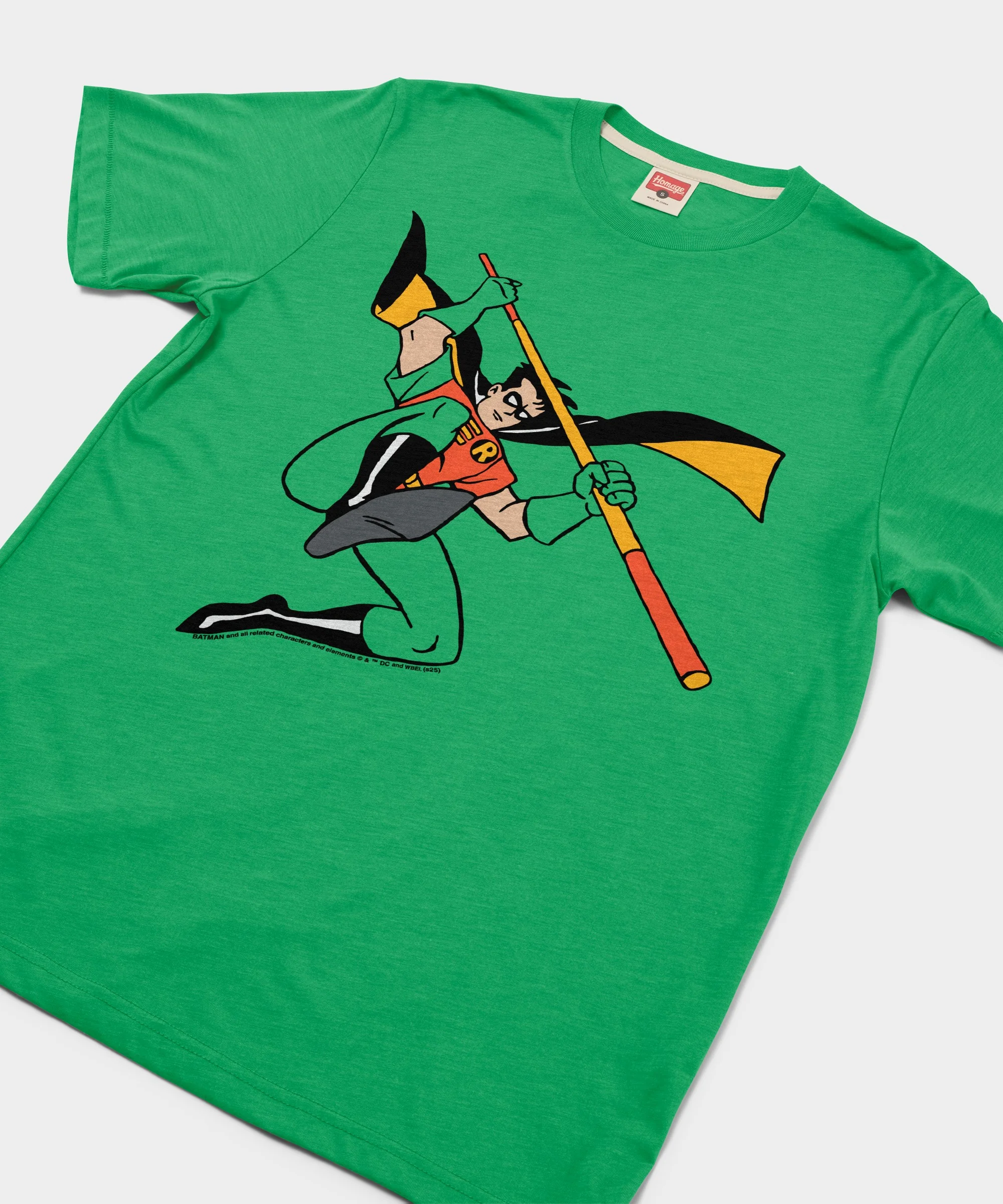 Batman Robin Character - Image 2
