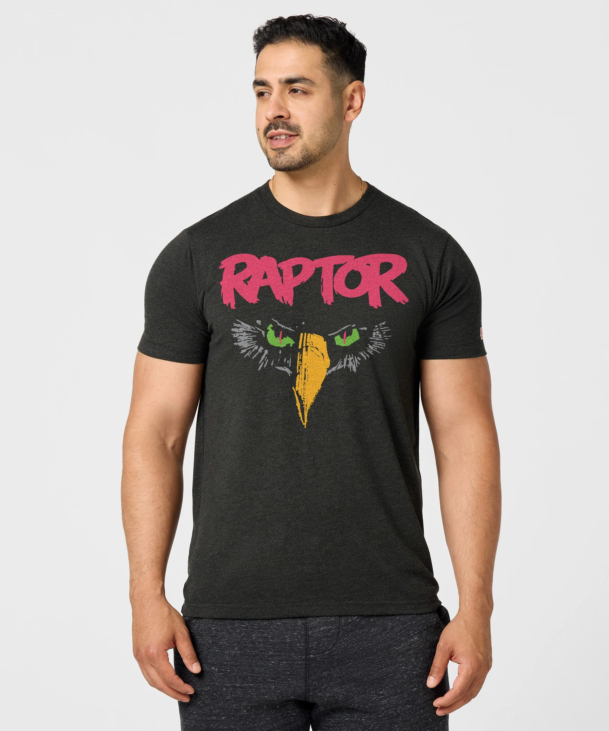 Cedar Point Raptor - Image 3