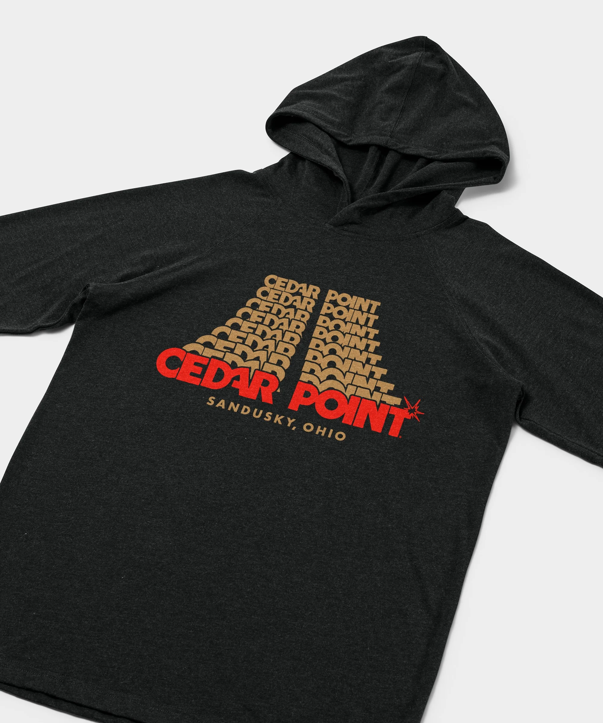 Cedar Point Sandusky Ohio Lightweight Hoodie - Image 2