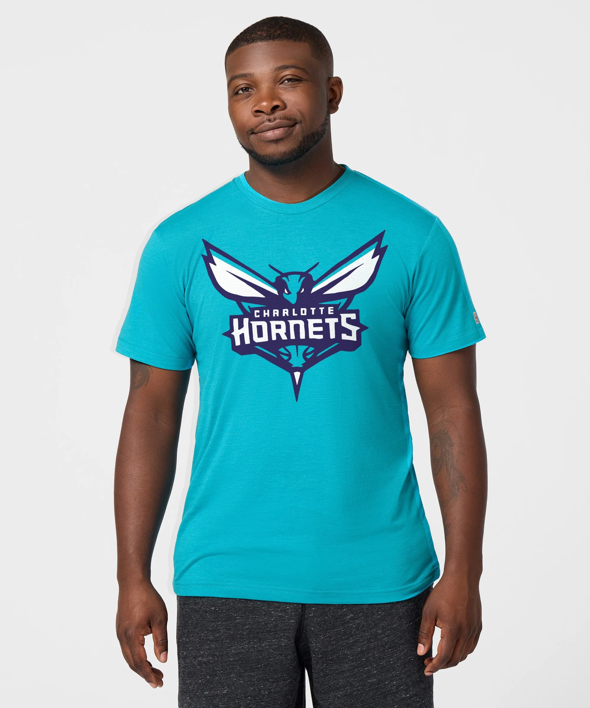 Charlotte Hornets Logo - Image 3