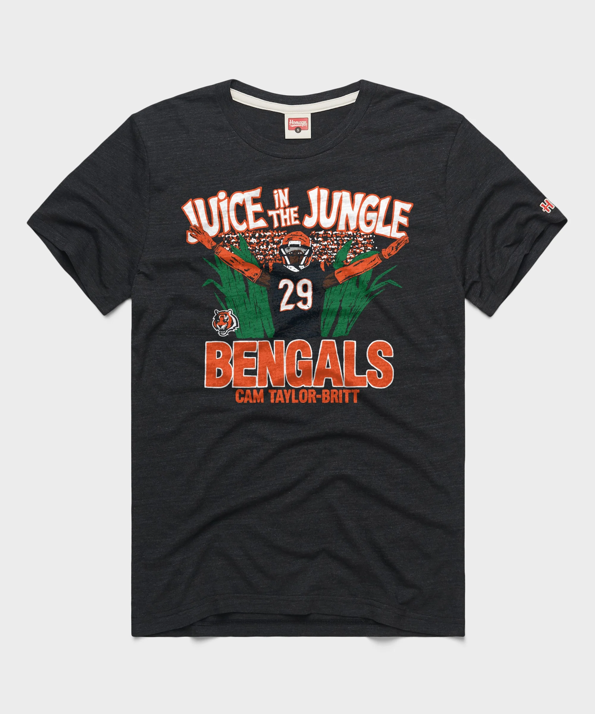 Cincinnati Bengals Cam Taylor-Britt