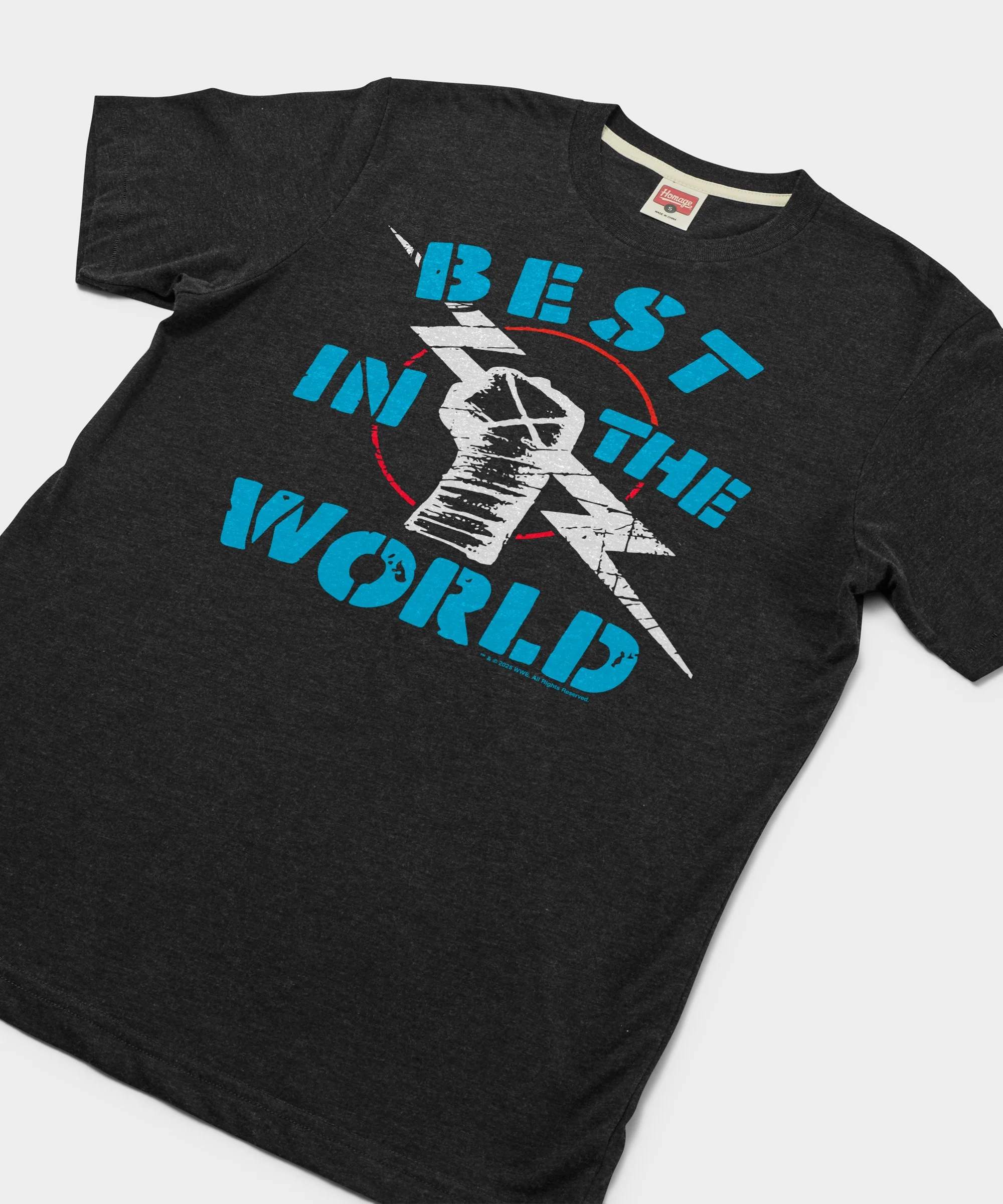 CM Punk Best In The World - Image 2