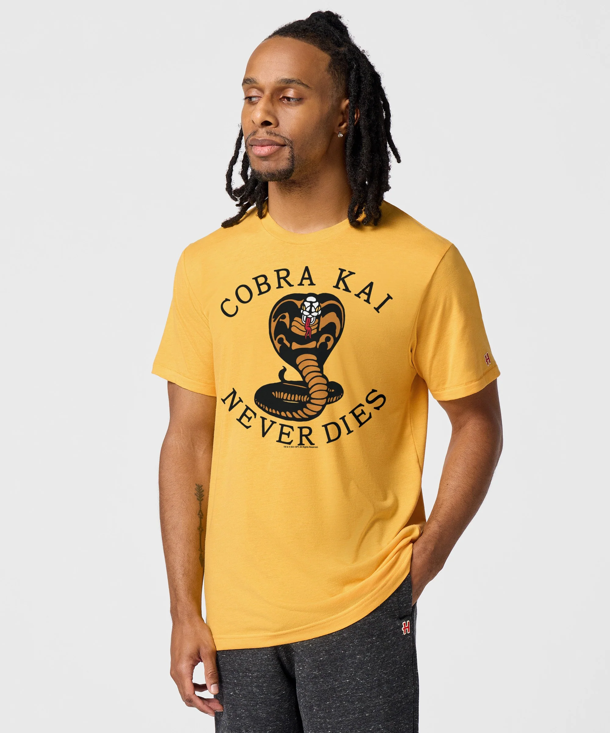 Cobra Kai Never Dies - Image 3
