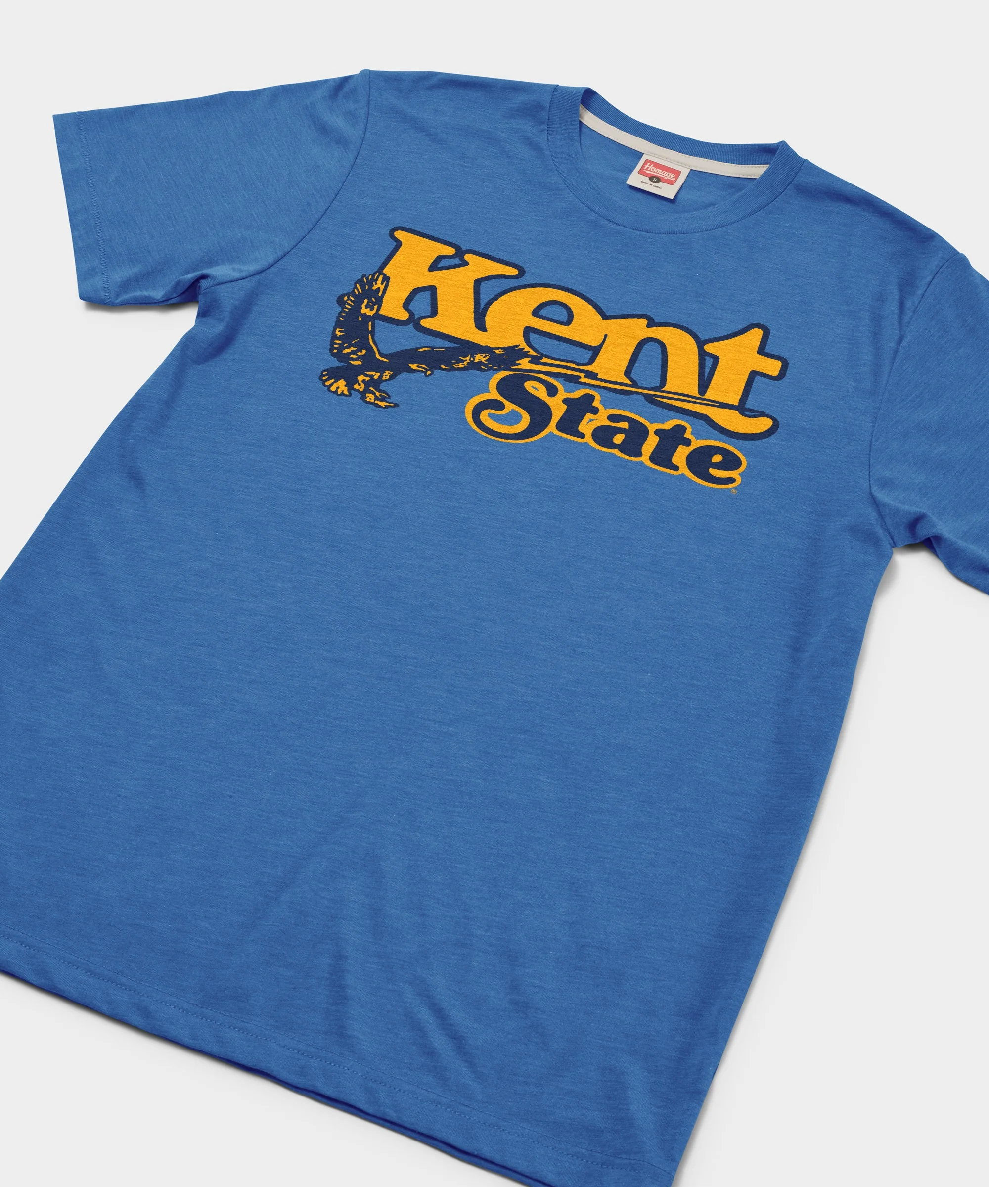Kent State Golden Eagle - Image 2