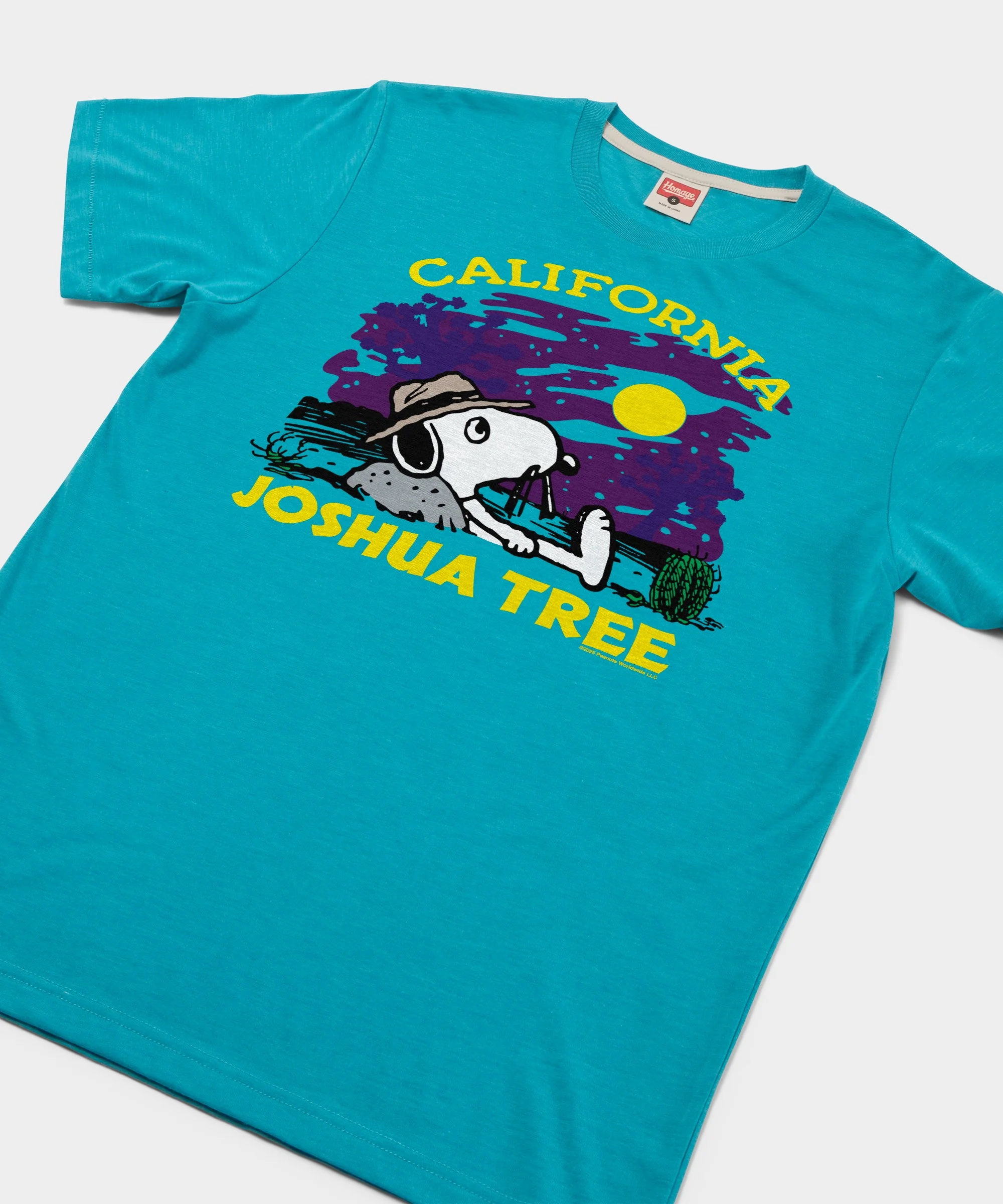 Peanuts Snoopy x Joshua Tree National Park - Image 2