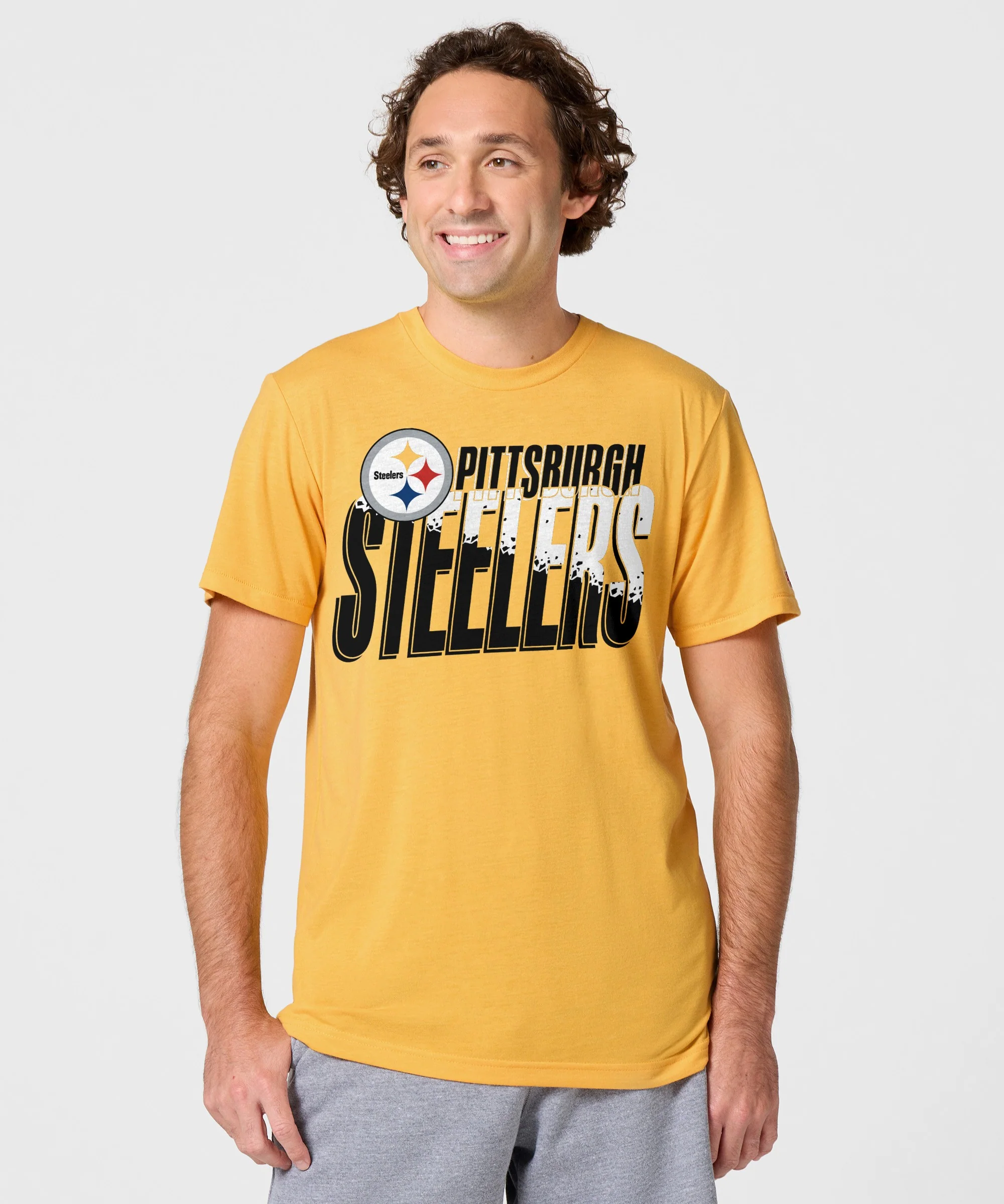 Pittsburgh Steelers Color Splash - Image 3