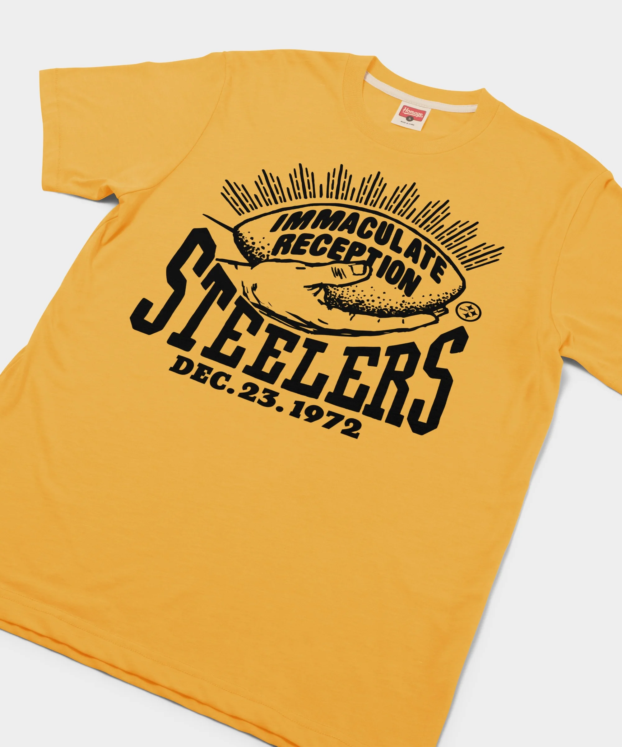 Pittsburgh Steelers Immaculate Reception - Image 2