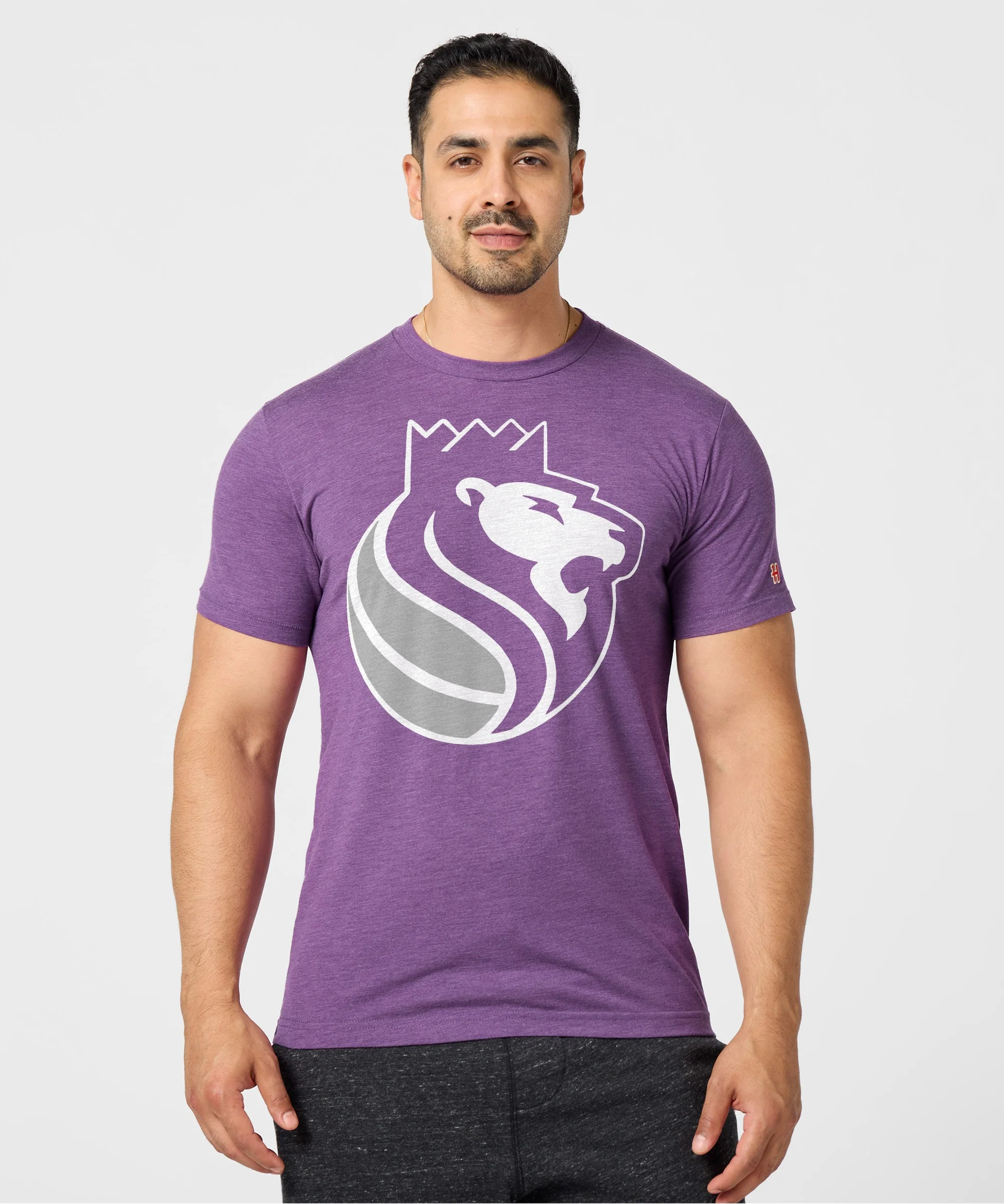 Sacramento Kings Logo - Image 3