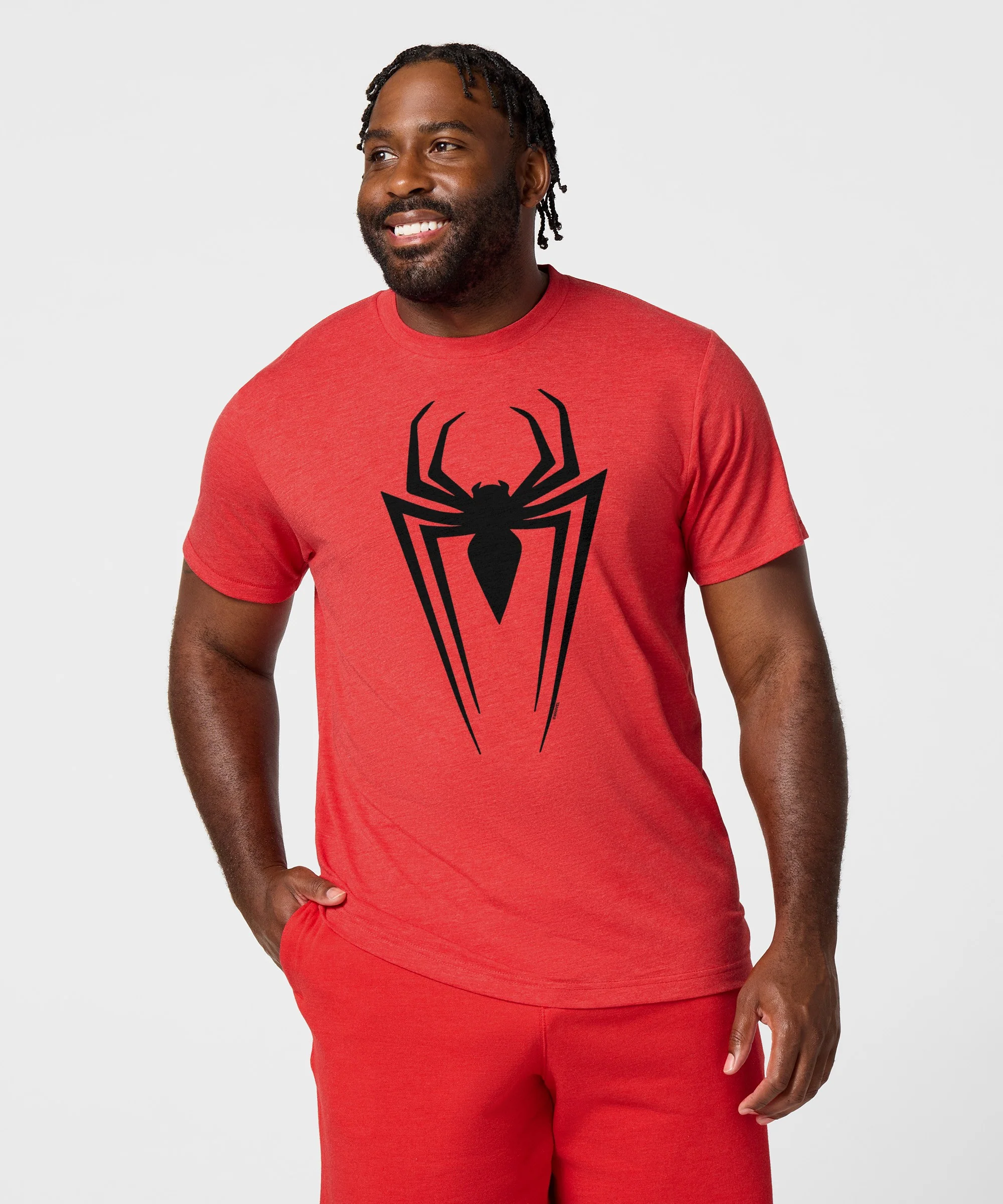 Spider-Man Logo - Image 3