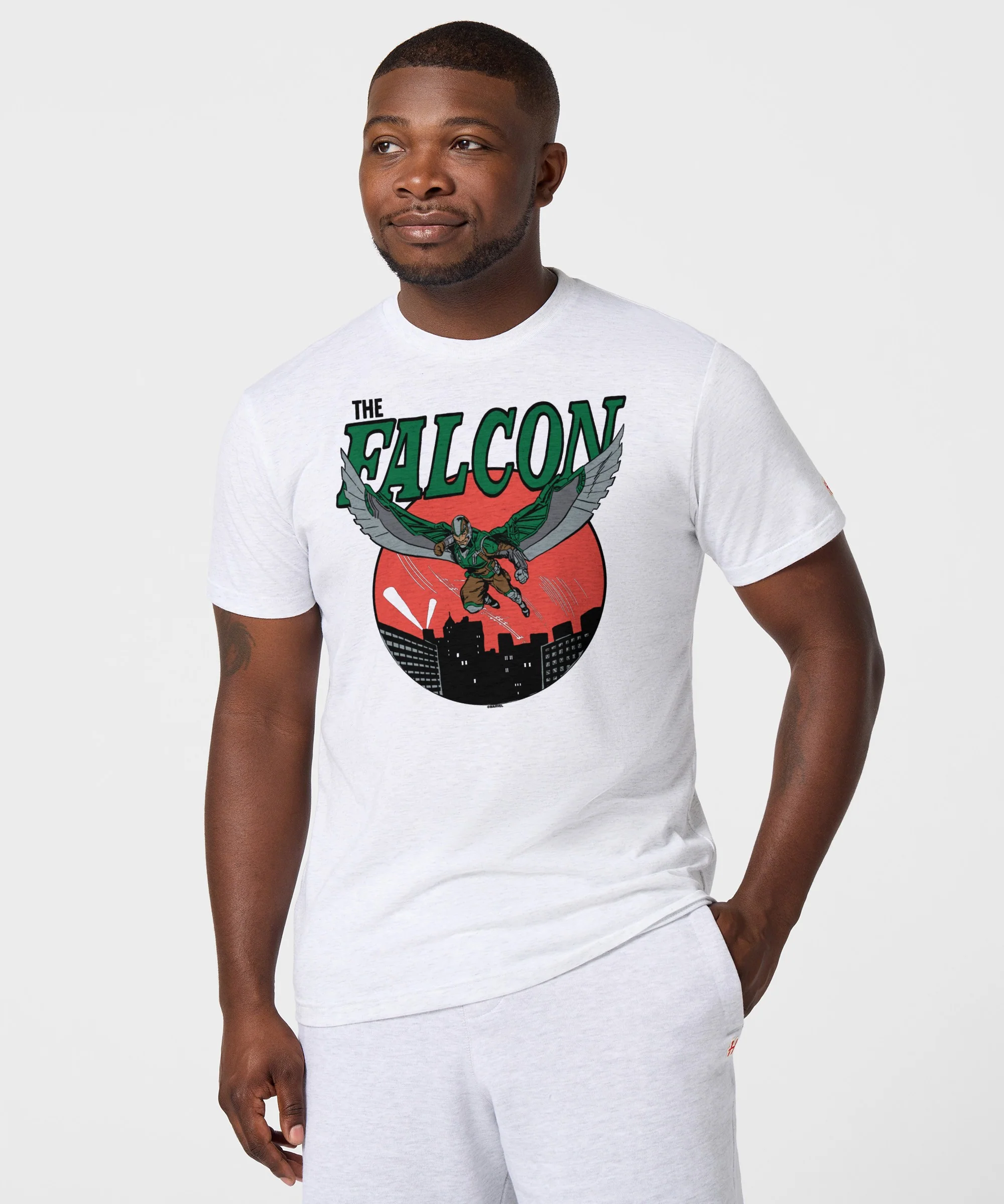 The Falcon - Image 3