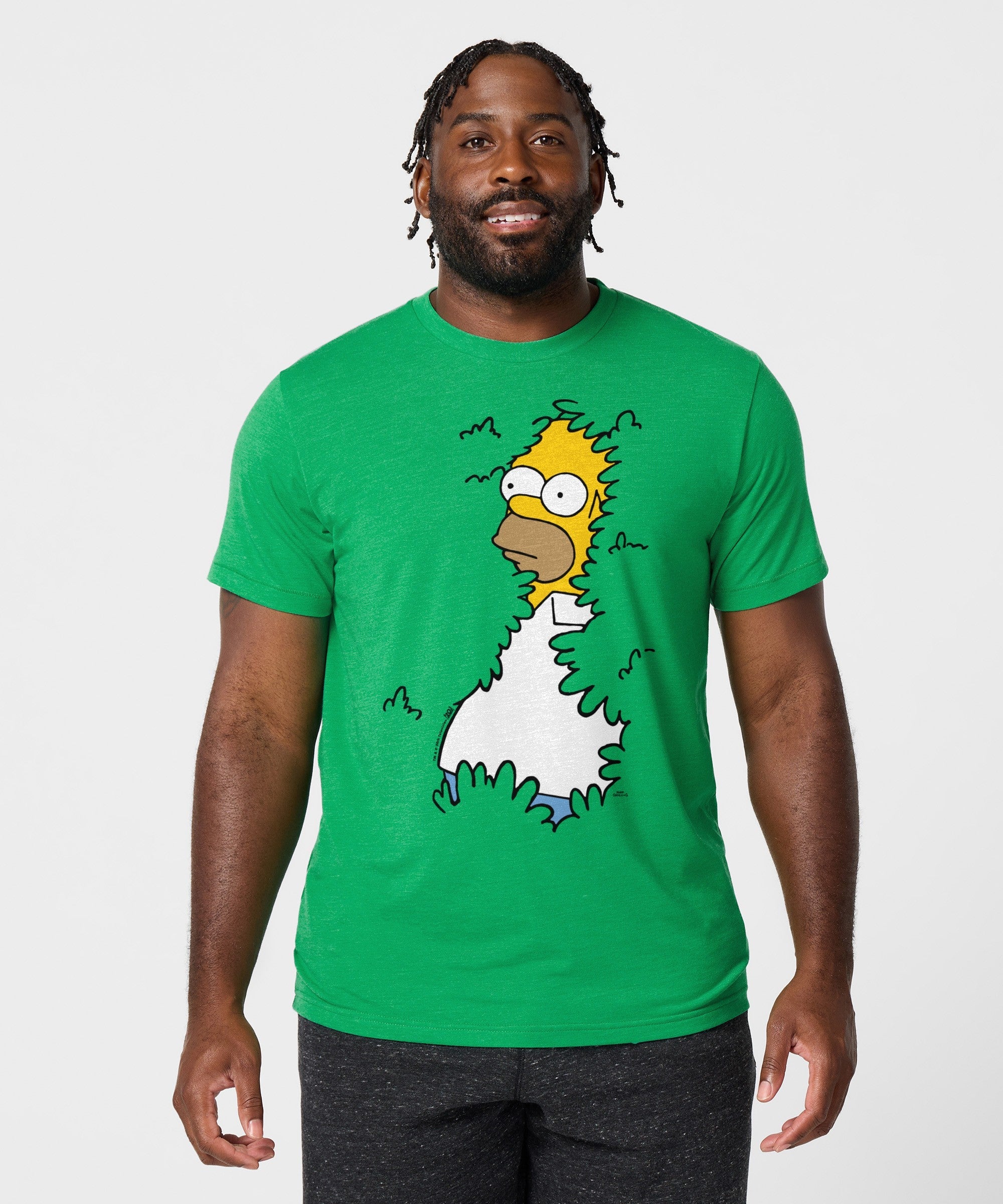 The Simpsons Homer In The Bushes - Image 3