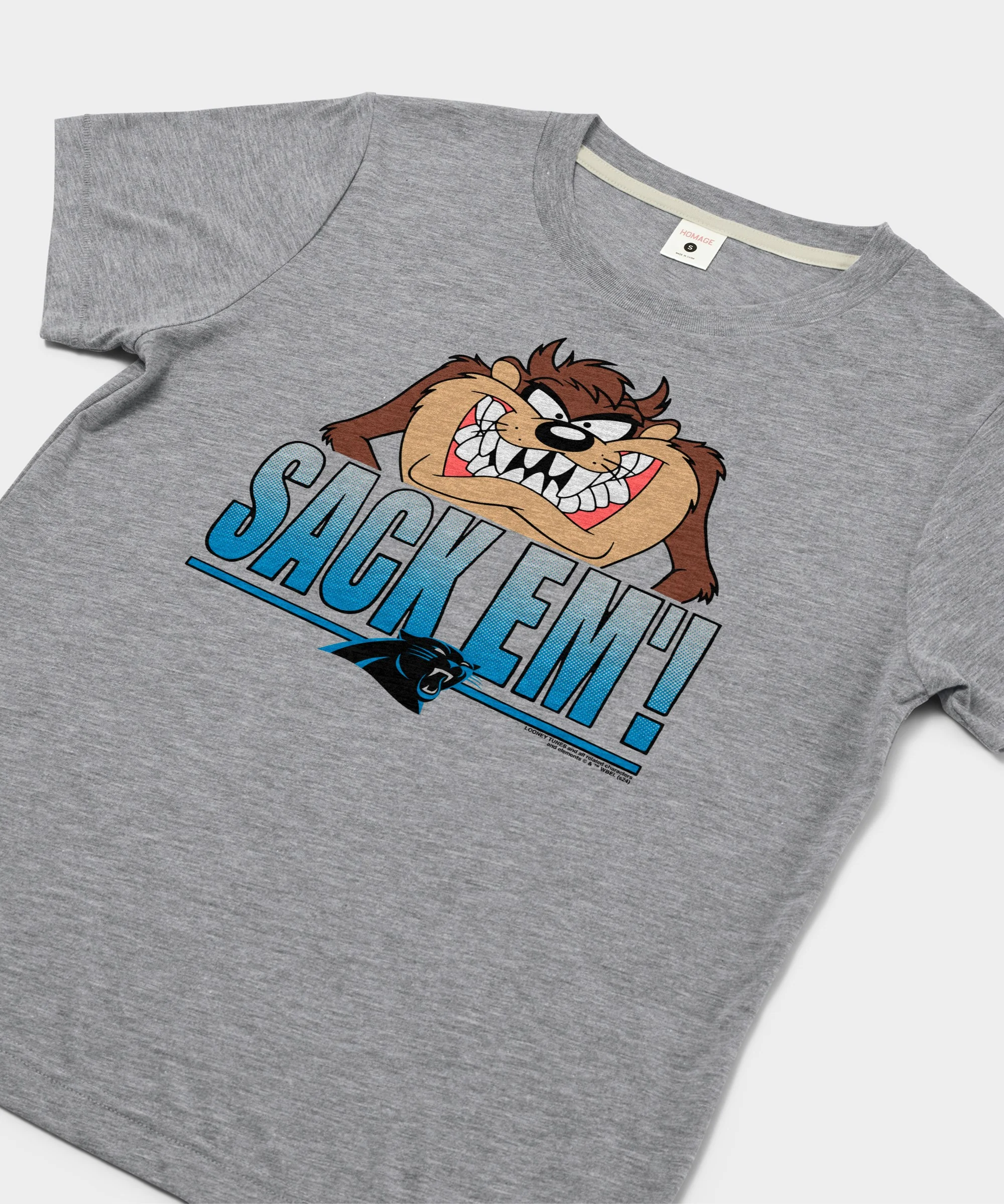 Women's Looney Tunes Taz Sack Em' x Carolina Panthers - Image 2