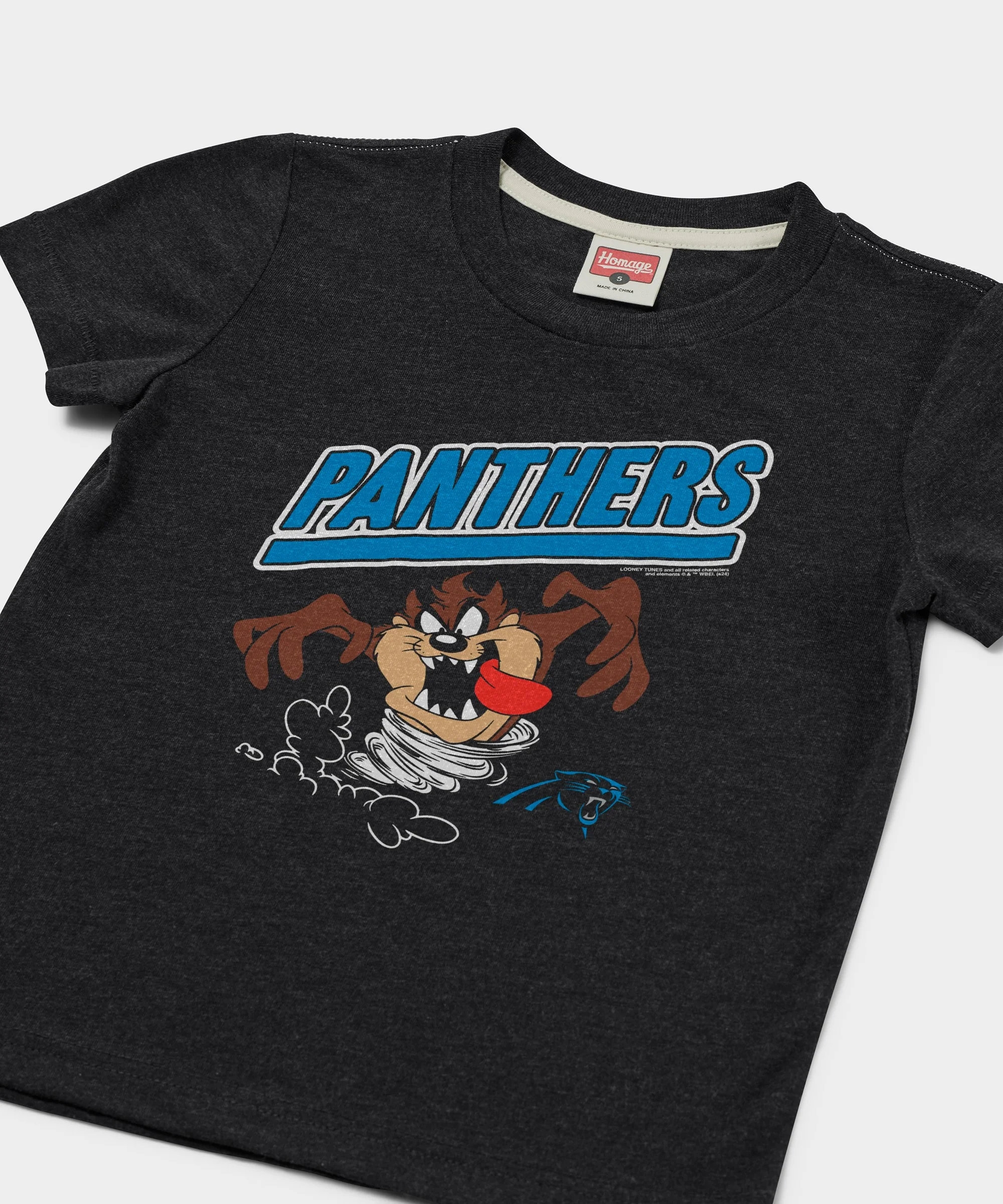 Youth Looney Tunes Taz x Carolina Panthers - Image 2