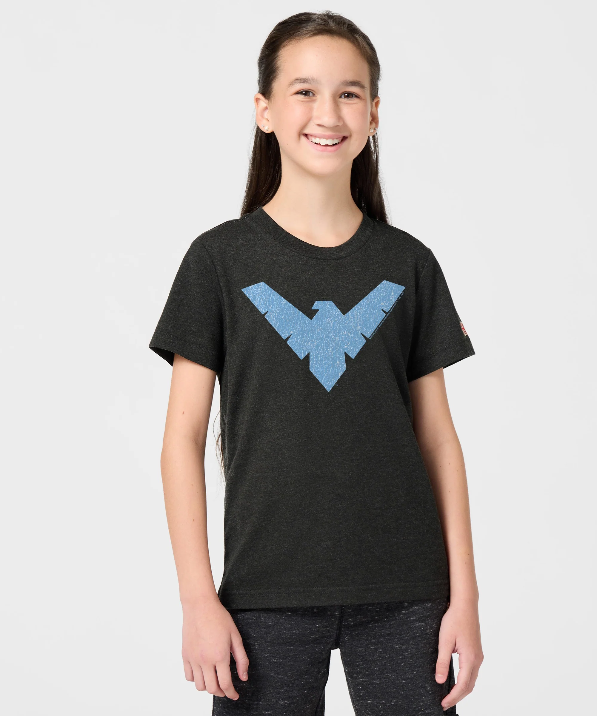 Youth Nightwing Logo - Image 3