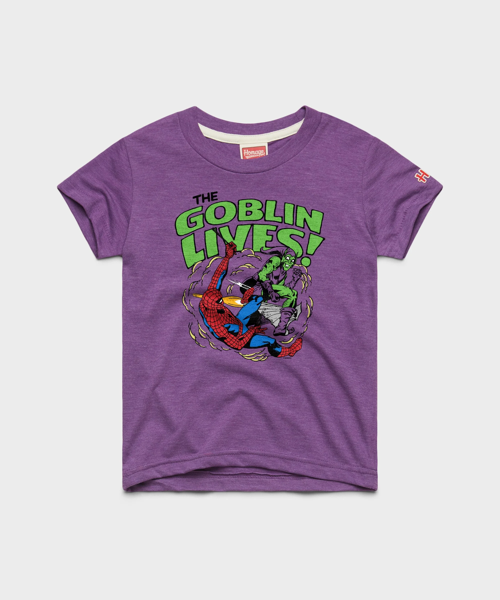 Youth Spider-Man The Goblin Lives
