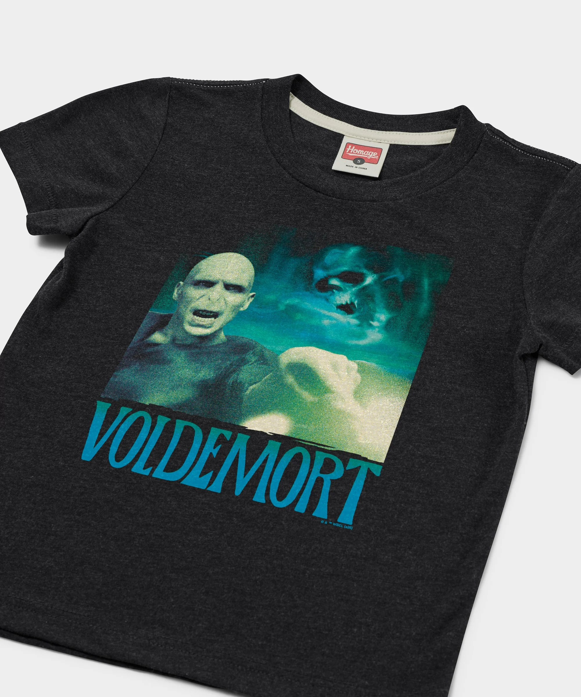 Youth Voldemort - Image 2