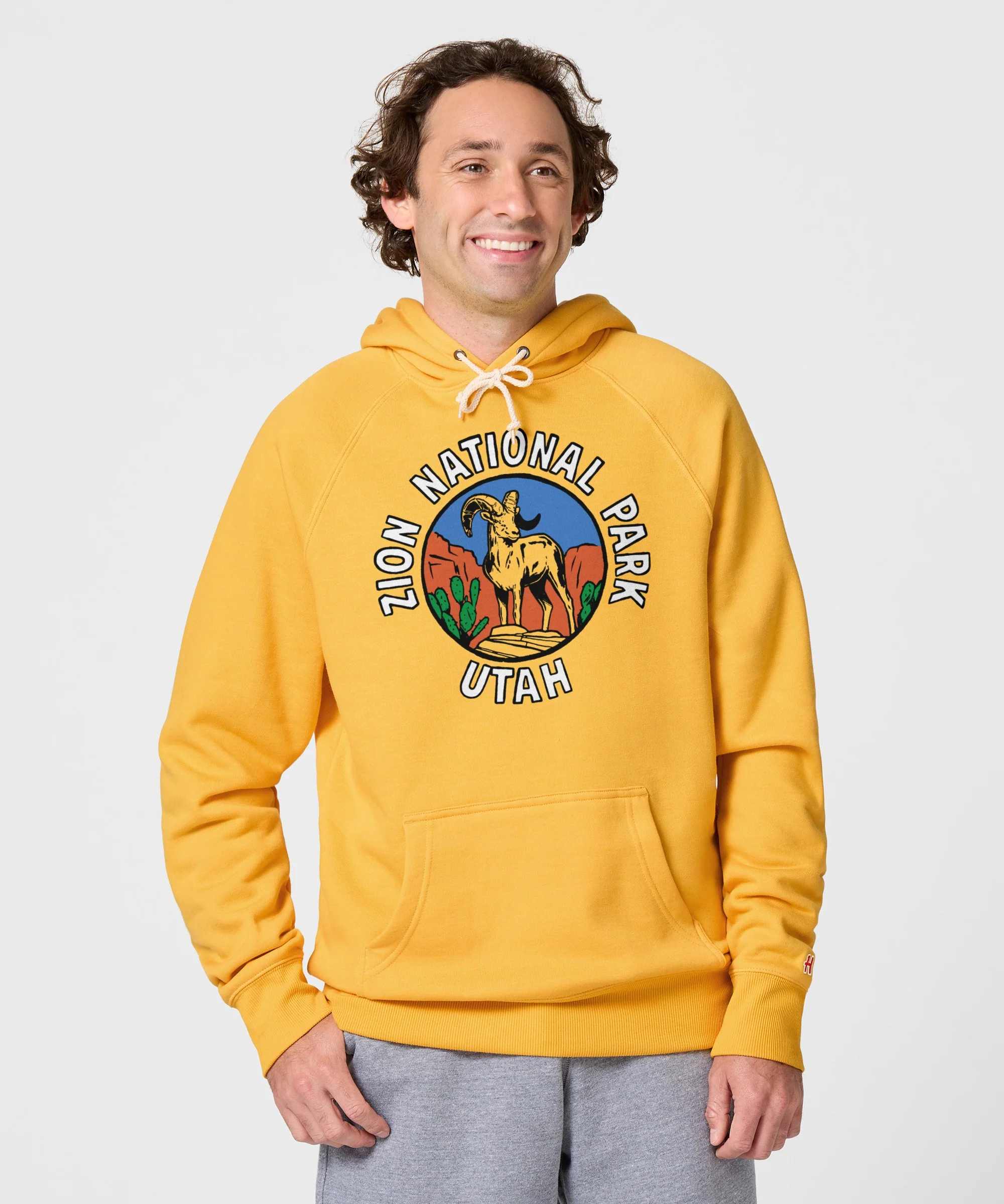 Zion National Park Hoodie - Image 3